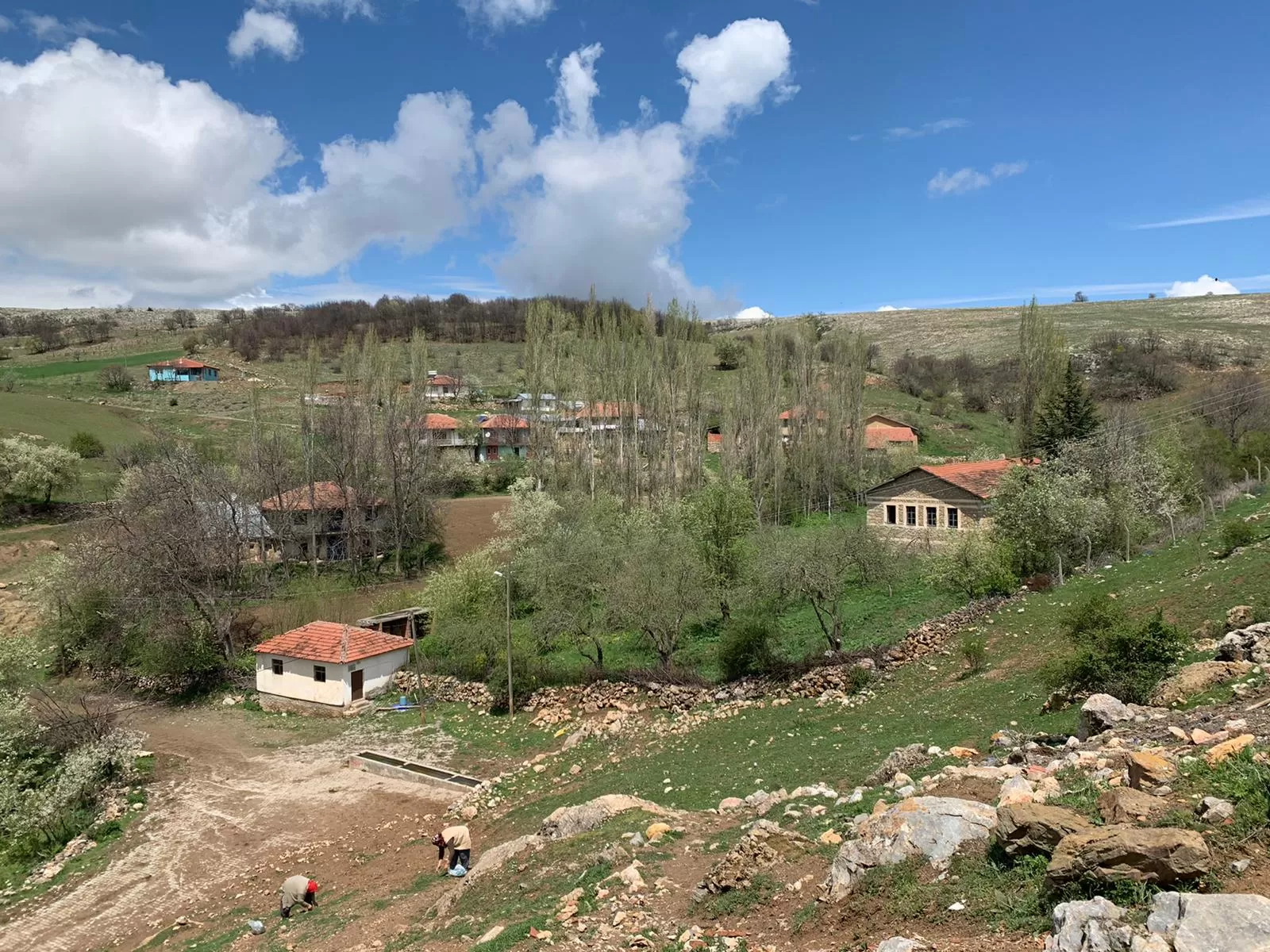 Panoramic Ephesus, Ephesus Museum & Turkish Bath Experience with Sea Drop Travel